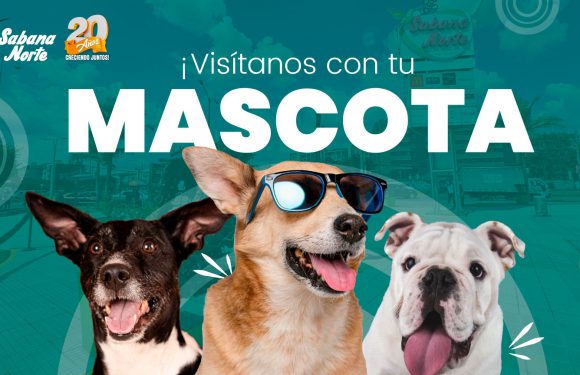8. PETFRIENDLY