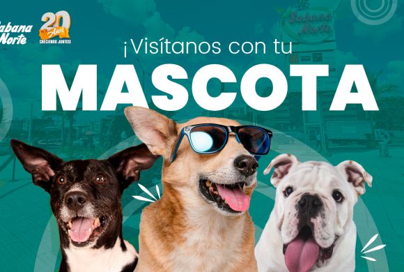 PETFRIENDLY