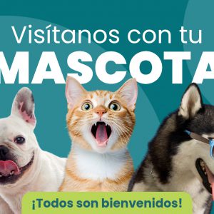 6. PETFRIENDLY