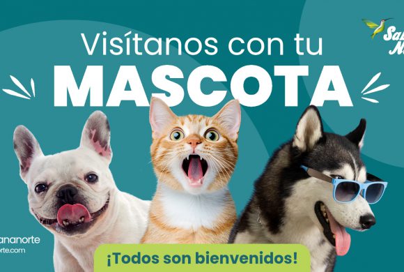 6. PETFRIENDLY