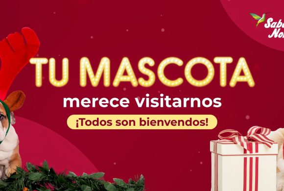 7. PETFRIENDLY 7. PETFRIENDLY