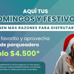 2. TARIFAS DOM. Y FESTIVOS