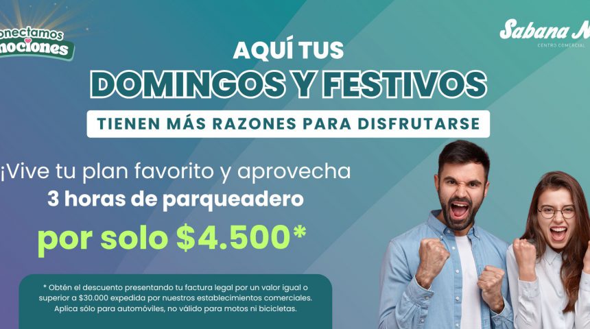 2. TARIFAS DOM. Y FESTIVOS